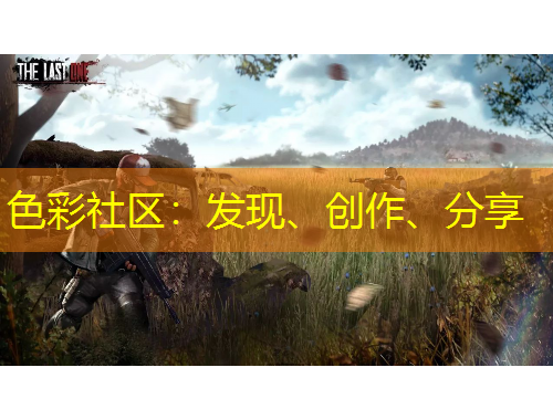 色彩社区：发现、创作、分享