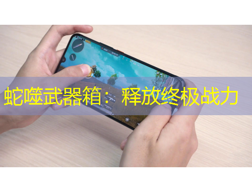 蛇噬武器箱：释放终极战力