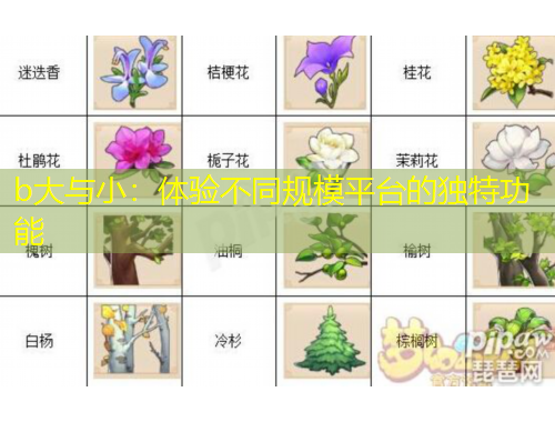 b大与小：体验不同规模平台的独特功能