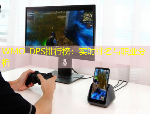 WMO DPS排行榜：实时排名与职业分析