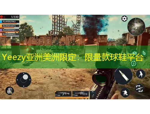 Yeezy亚洲美洲限定：限量款球鞋平台