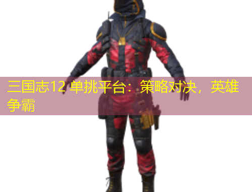 三国志12 单挑平台：策略对决，英雄争霸
