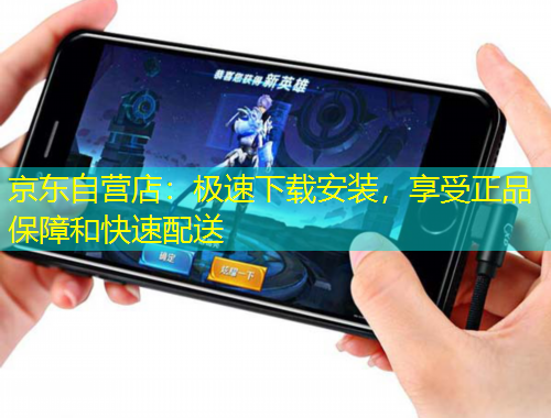京东自营店：极速下载安装，享受正品保障和快速配送