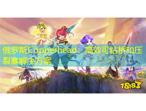 俄罗斯Copperhead：高效可钻桥和压裂塞解决方案