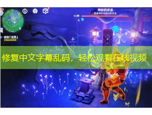 修复中文字幕乱码，轻松观看在线视频