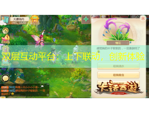 双层互动平台：上下联动，创新体验