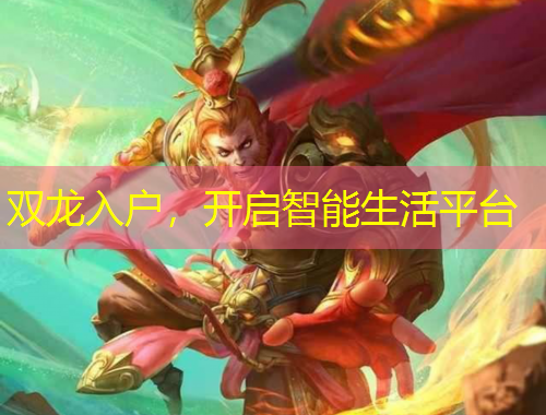 双龙入户，开启智能生活平台