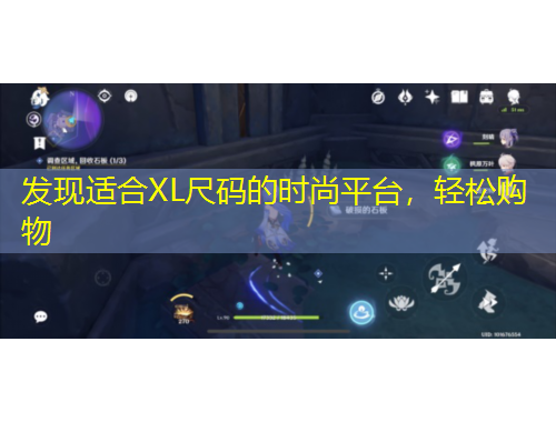 发现适合XL尺码的时尚平台，轻松购物