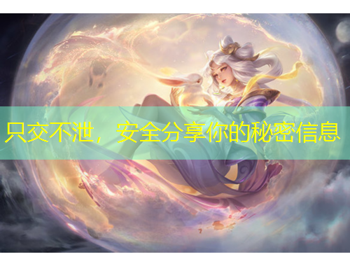 只交不泄，安全分享你的秘密信息