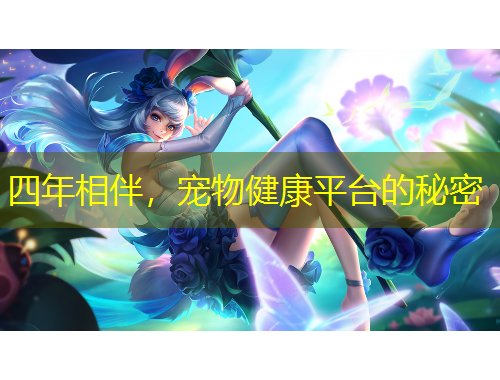 四年相伴，宠物健康平台的秘密