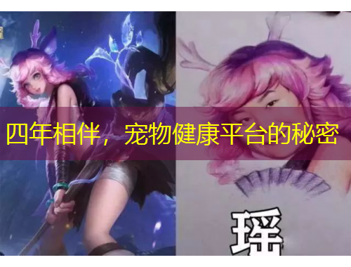 四年相伴，宠物健康平台的秘密