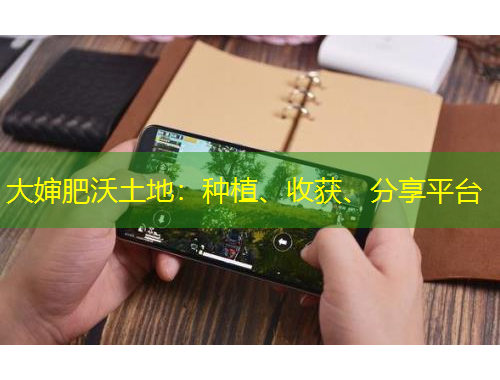 大婶肥沃土地：种植、收获、分享平台