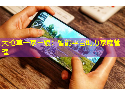 大枪草一家三娘:智能平台助力家庭管理