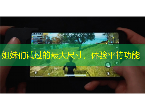 姐妹们试过的最大尺寸，体验平特功能