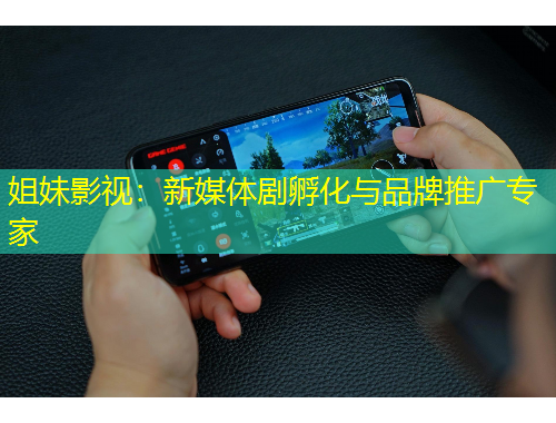 姐妹影视：新媒体剧孵化与品牌推广专家