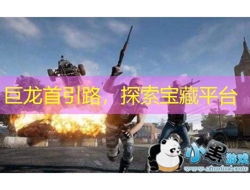 巨龙首引路，探索宝藏平台