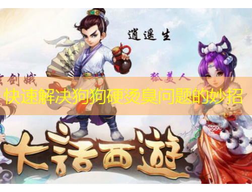 快速解决狗狗硬烫臭问题的妙招