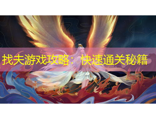 找夫游戏攻略：快速通关秘籍