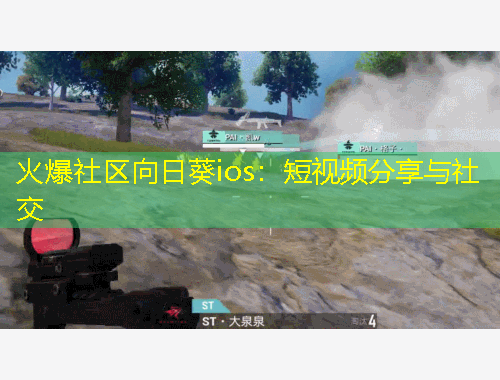 火爆社区向日葵ios：短视频分享与社交