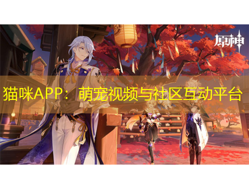 猫咪APP：萌宠视频与社区互动平台