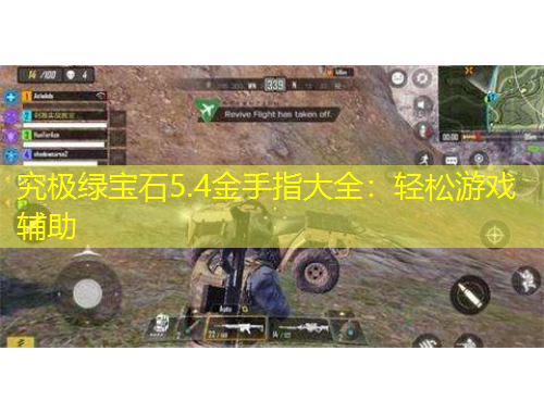 究极绿宝石5.4金手指大全：轻松游戏辅助