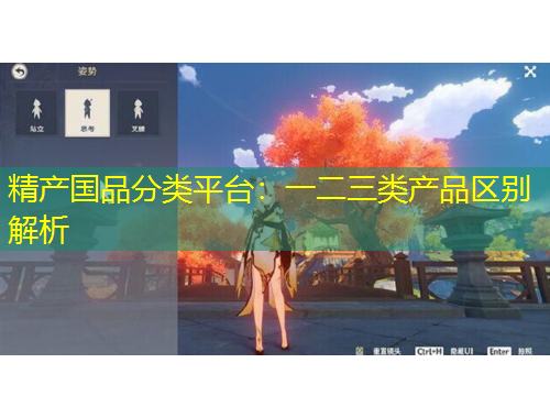 精产国品分类平台：一二三类产品区别解析