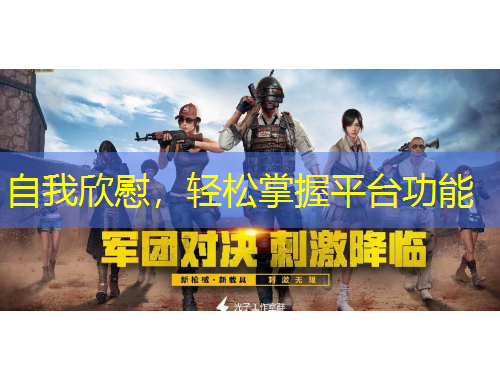 自我欣慰，轻松掌握平台功能