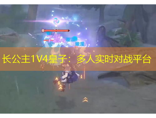长公主1V4皇子：多人实时对战平台
