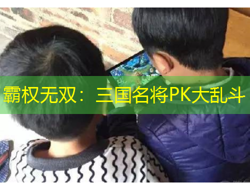 霸权无双：三国名将PK大乱斗