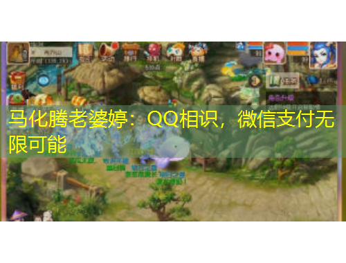 马化腾老婆婷:QQ相识,微信支付无限可能