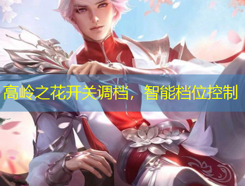 高岭之花开关调档，智能档位控制
