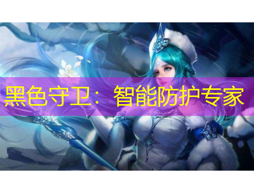 黑色守卫：智能防护专家