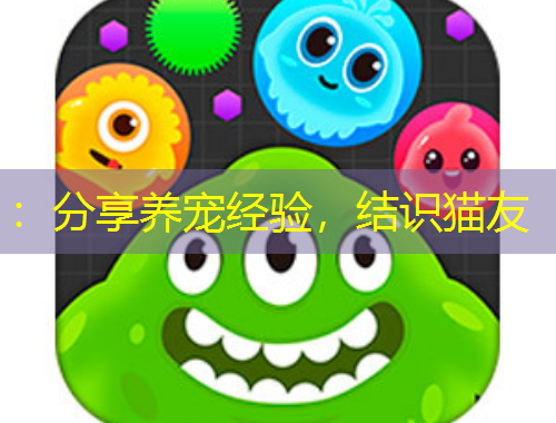 ：分享养宠经验，结识猫友
