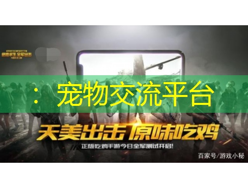 :宠物交流平台