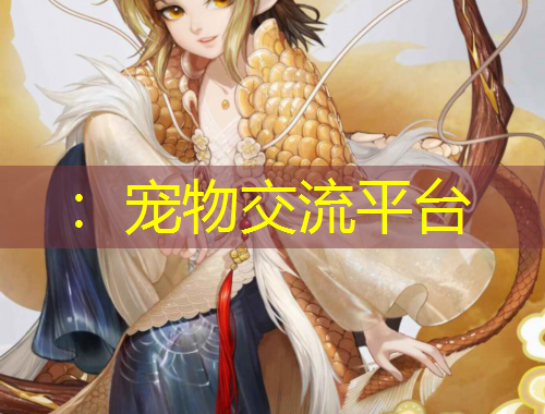 ：宠物交流平台