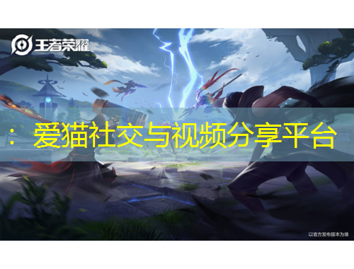 ：爱猫社交与视频分享平台