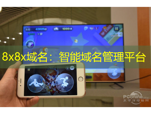 8x8x域名：智能域名管理平台