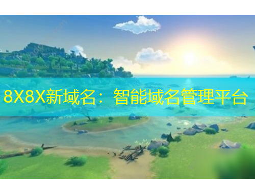 8X8X新域名：智能域名管理平台