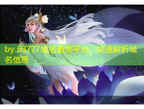 by.63777域名查询平台，快速解析域名信息