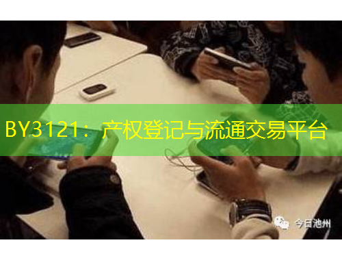 BY3121：产权登记与流通交易平台