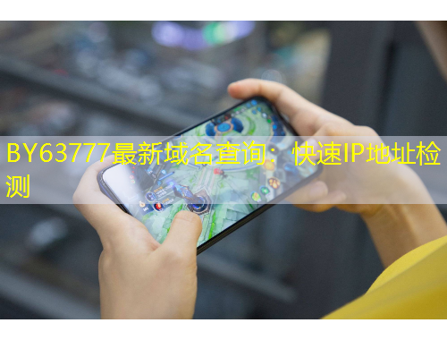BY63777最新域名查询：快速IP地址检测