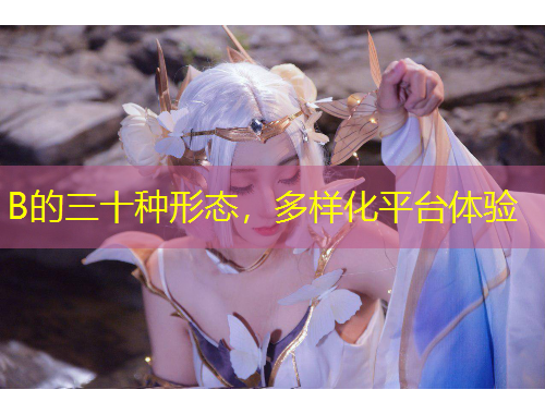 B的三十种形态，多样化平台体验