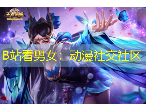 B站看男女：动漫社交社区