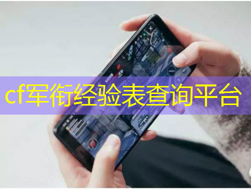cf军衔经验表查询平台