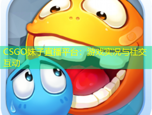 CSGO妹子直播平台：游戏实况与社交互动