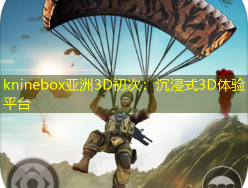 kninebox亚洲3D初次：沉浸式3D体验平台