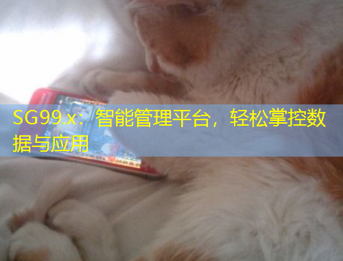 SG99.x:智能管理平台,轻松掌控数据与应用
