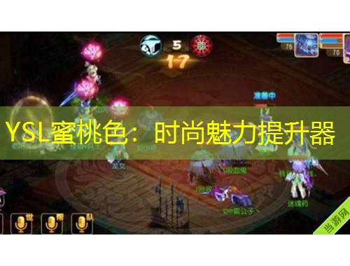 YSL蜜桃色：时尚魅力提升器