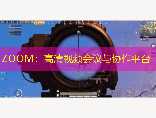 ZOOM：高清视频会议与协作平台