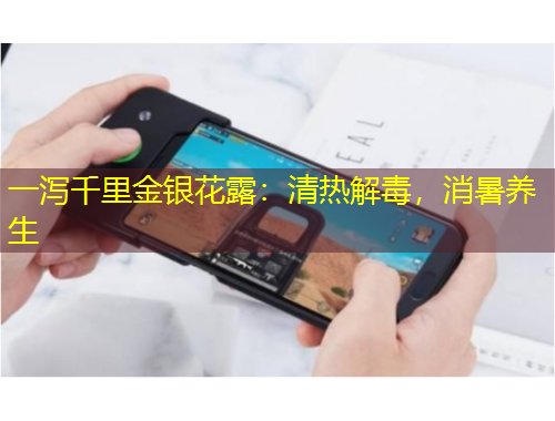 一泻千里金银花露：清热解毒，消暑养生
